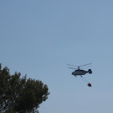 IMG_8827.JPG