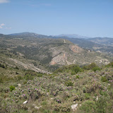 IMG_8831.JPG