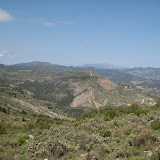 IMG_8833.JPG