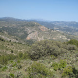 IMG_8834.JPG