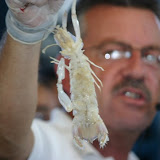 IMG_6502.JPG