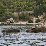 IMG_6665.JPG