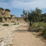 IMG_8894.JPG