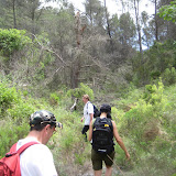 IMG_8873.JPG