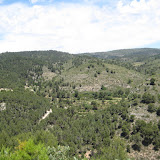 IMG_8877.JPG