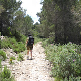IMG_8879.JPG