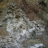 IMG_0192.jpg