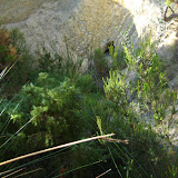 IMG_8950.JPG