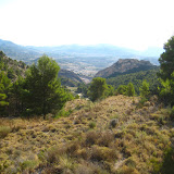 IMG_8947.JPG