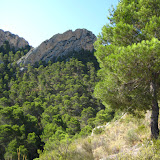 IMG_8956.JPG