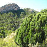 IMG_8960.JPG