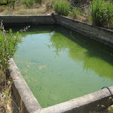 IMG_8982.JPG