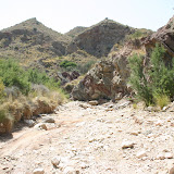 IMG_8854.JPG