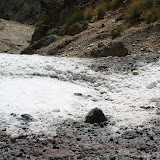 IMG_8858.JPG