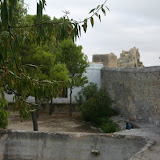 IMG_8880.JPG