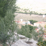 IMG_8881.JPG