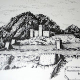 IMG_8884.JPG