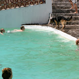 IMG_8817.JPG