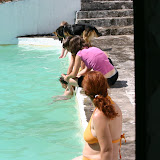 IMG_8815.JPG