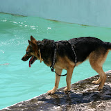 IMG_8813.JPG