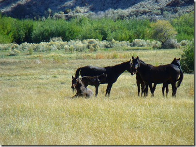 pics 010