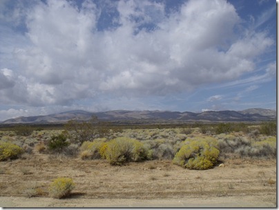 pics 030