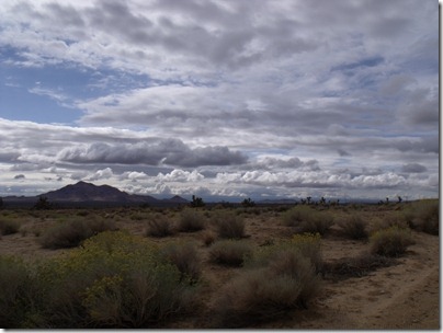 pics 016