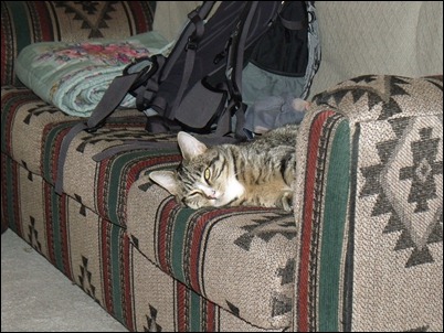 pics 027
