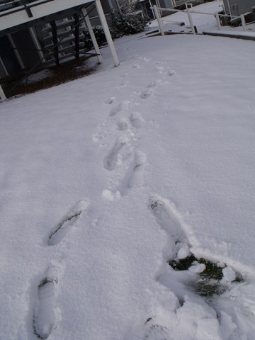 [snowwknd 026[4].jpg]