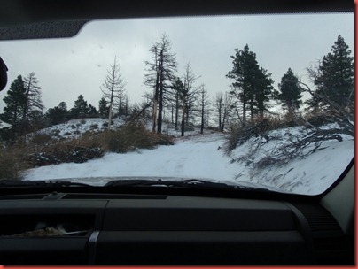 pics 023