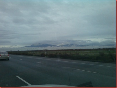 IMAGE_376