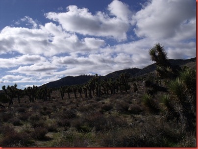 pics 032