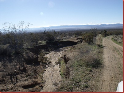 pics 016