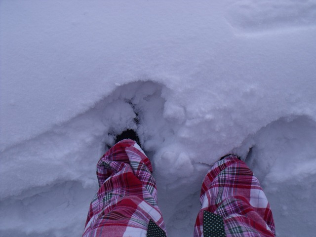 [snowday 004[3].jpg]