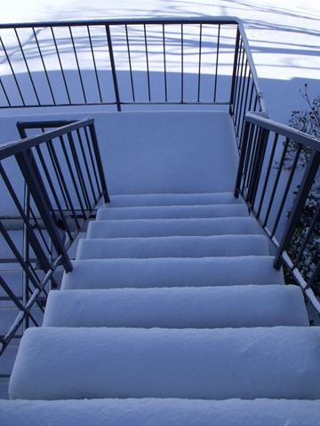 [snowday 009[4].jpg]