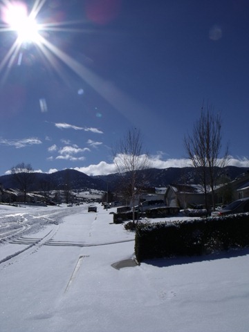 [snowday 037[10].jpg]