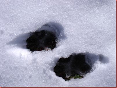 pics 013