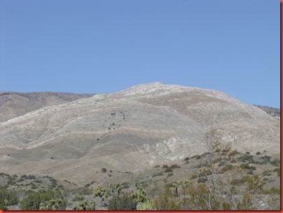 pics 009
