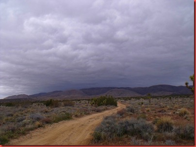 pics 007
