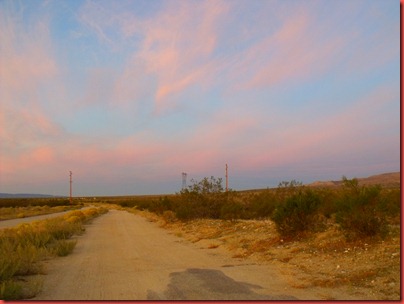 pics 011