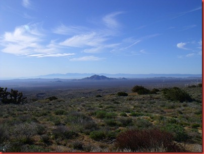 pics 004