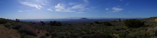 [pics 005[5].jpg]