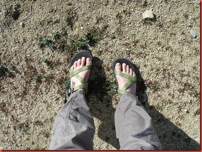 pics 006