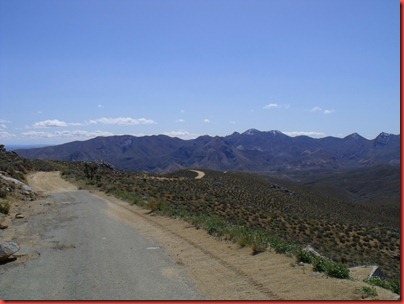 pics 010