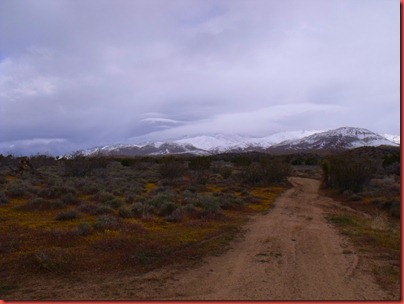 pics 007