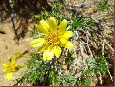 pics 011