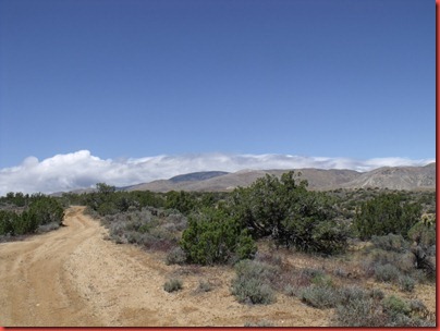 pics 016
