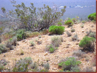 pics 008