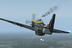 P51 Mustang