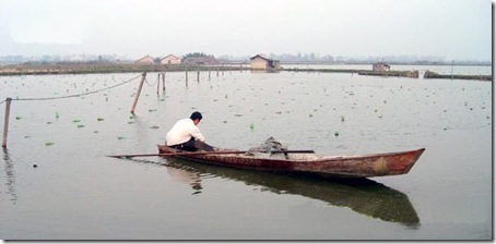 Pearl_Farm2